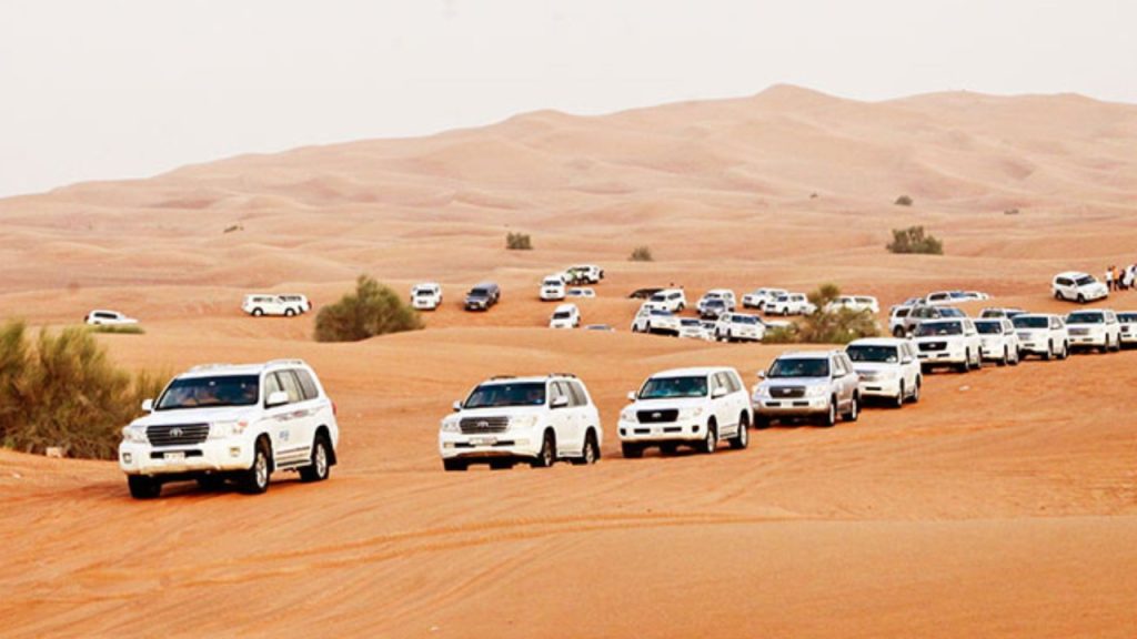 Dubai Safari experience